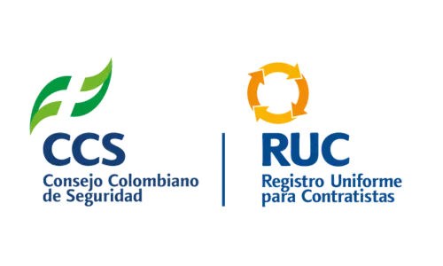 CCS RUC-2